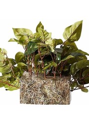 Nearly Natural 6708 Pothos Ledge Set on Foam Decorative Silk Plant, Green