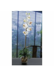 Nearly Natural 1104-CR Single Phalaenopsis Liquid Illusion Silk Flower Arrangement, Cream