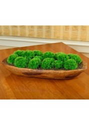 Picnic at Ascot Artificial Moss Arrangement