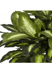 Nearly Natural 6639 Golden Dieffenbachia Decorative Silk Plant, Green