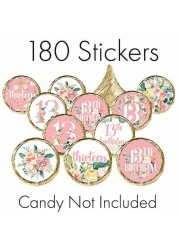 Distinctivs Pink Floral 13Th Birthday Party Favor Stickers - 180 Labels