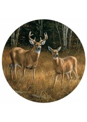 Whitetail Deer Coasters by Rosemary Millette