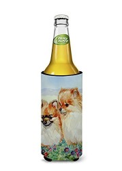 Caroline&#39;s Treasures 7262Muk Pomeranian Ultra Beverage Insulators For Slim Cans, Slim Can, Multicolor