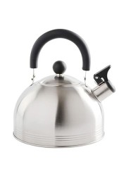 Mr. Coffee Carterton Stainless Steel Whistling Tea Kettle, 1.5-Quart, Mirror Polish