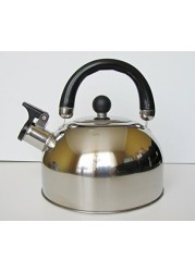 bulk buys Whistling Stainless Steel Tea Kettle, Regular, Silver