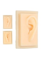 Silicone Ear Fake Ear Glossy Texture for Teaching Demonstration