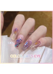 Popular gel nail polish transparent color cat eyes under different angles colorful light spots dazzling effects TSLM1