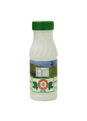 Chtoora Laban Airan with Mint 225ml