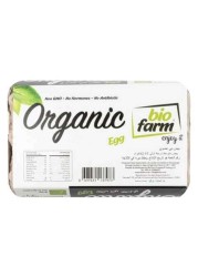 Bio Farm Organic Egg x 15