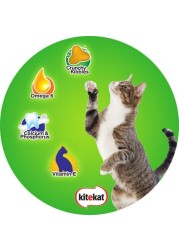 Kitkat Tuna Flavor Dry Cat Food 1.4 kg