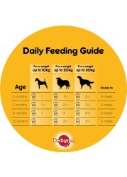 Pedigree Wet Dog Food Chicken Loaf 400g