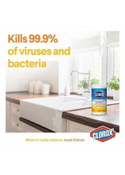 Citrus Mix Disinfecting Wet Wipes 559g