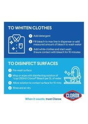 Clorox Bleach Original 950 ml