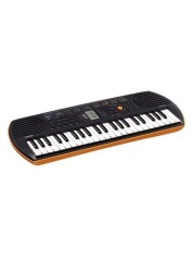 Casio Musical Keyboard