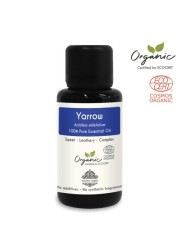 Aroma Tierra Organic Yarrow Oil - 100% Pure, Natural, Ecocert Certified Organic - 30ml