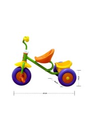 ALISSA Kids Bicycle, Outdoor Indoor Tricycle Ride On Bike, Green.