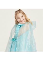 Fairy Princess Costume