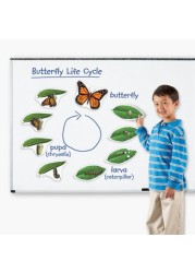 Learning Resources Magnetic Butterfly Life Cycle