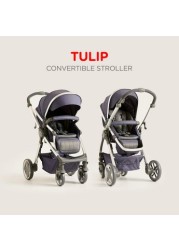 Giggles Tulip Convertible Stroller with Push Button Fold