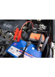 ARB Professional Jump Starter