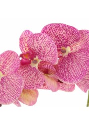 Artificial Orchid Plant (60 cm, Light Purple)