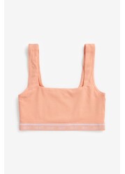 Cotton Crop Tops 3 Pack