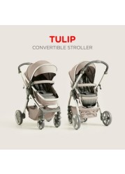 Giggles Tulip Convertible Stroller with Push Button Fold