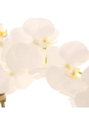 Artificial Orchid Plant (60 cm, White)