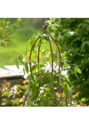 Fallen Fruits 3D Round Bird Plant Support (48 x 48 x 169 cm)