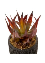 Artificial Potted Aloe Plant (20 cm, Red)