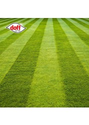 Doff Hardwearing Lawn Seed (500 g)