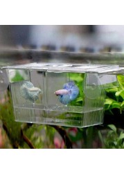 Foshan Acrylic Fish Hatchery Box