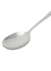 FNS Windsor Serving Spoon