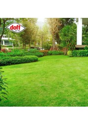 Doff 4-in-1 Lawn Feed, Weed & Moss Killer (1 kg)