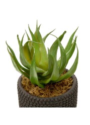 Artificial Potted Aloe Plant (20 cm, Green)