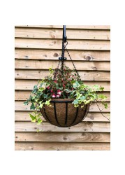 Tildenet Cambridge Strip Wire Hanging Basket W/Coco Liner (35 cm)