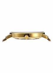 Ace Antique Brass Decorative Catch Pack (3.55 cm, 2 Pc.)