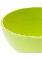 Glazed Terracotta Plant Saucer Generic (23 x 23 x 3 cm, Medium)