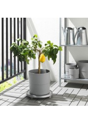 NYPON Plant pot