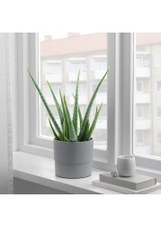 NYPON Plant pot