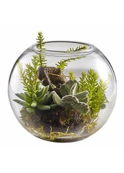 Nearly Natural 4564 Mix Succulent Garden with Glass Vase