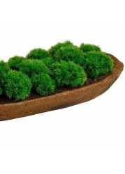 Picnic at Ascot Artificial Moss Arrangement