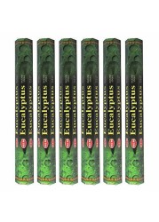 HEM 6 Pack 20 Gram Eucalyptus - Box Of Six 20 Stick Tubes - Hem Incense