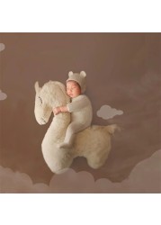 Newborn Photography Pillow Pegasus Horse Photo Props Doll Pillow Infant Photo Shoot Studio Accessories Posing Bean