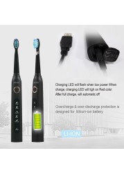 Seago Sonic Electric Toothbrush SG-507 Adult Timer Brush 5 Modes USB Charger Rechargeable Toothbrush Replacement Heads Set