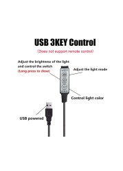 0.5m 1m RGB Controller 5V USB Connector Cable 4 Pin Line Dimmer 3 Keys for 5V 5050 2835 RGB LED Strip Backlighting for TV