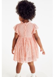 Short Sleeve Party Lace Dress (3mths-7yrs)