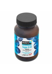 Blueberry Naturals Super B12 1000 mcg Lozenges 100's B0067