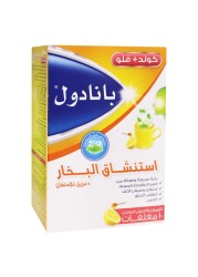 Panadol Hot Lemon &amp; Honey Sachets 10&#039;s