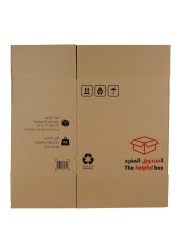 Ace 5 Ply Carton Box (60.9 x 43.1 x 62.8 cm)